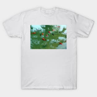 Koi Fish T-Shirt